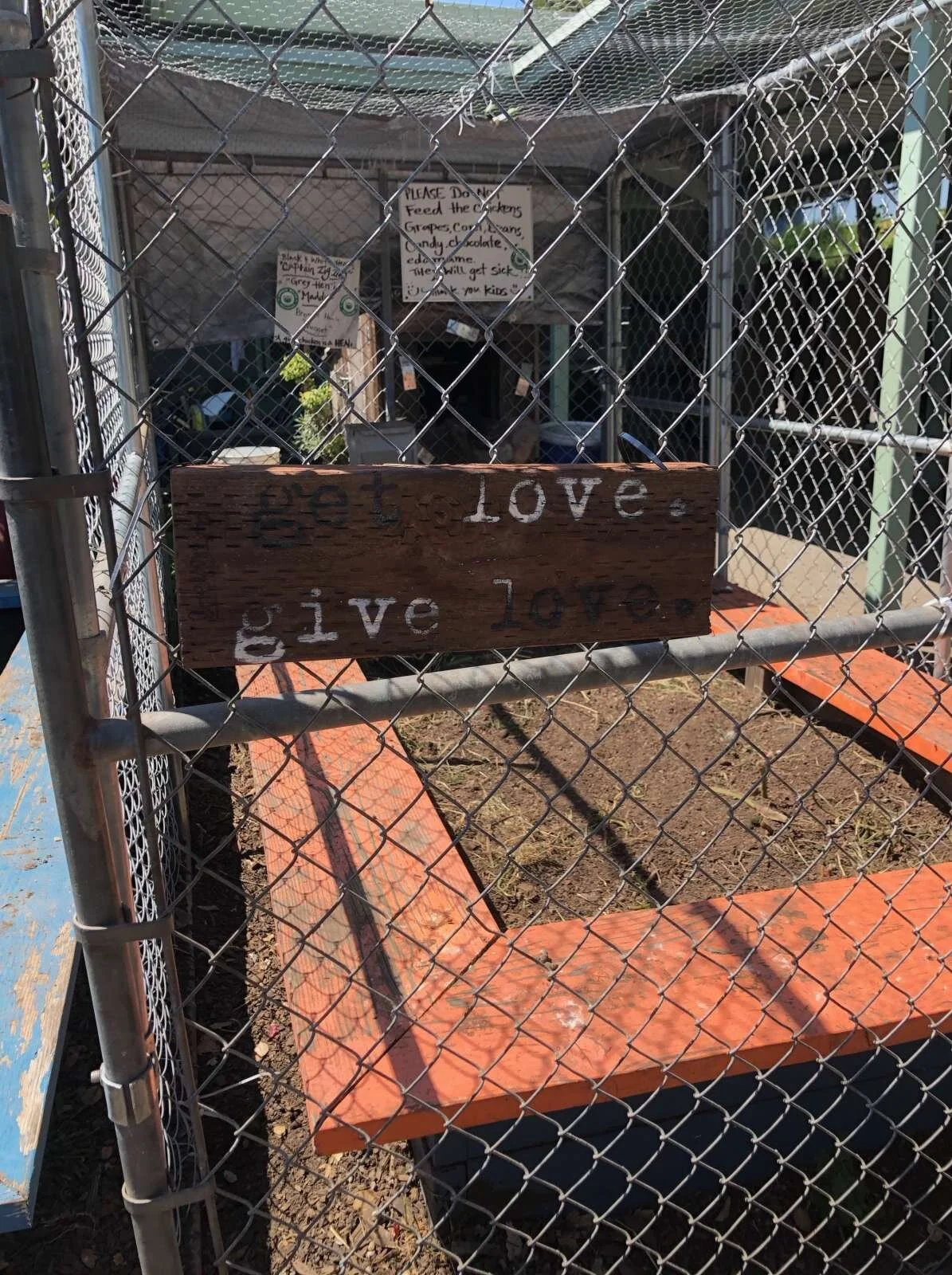 get love. give love.: oakland