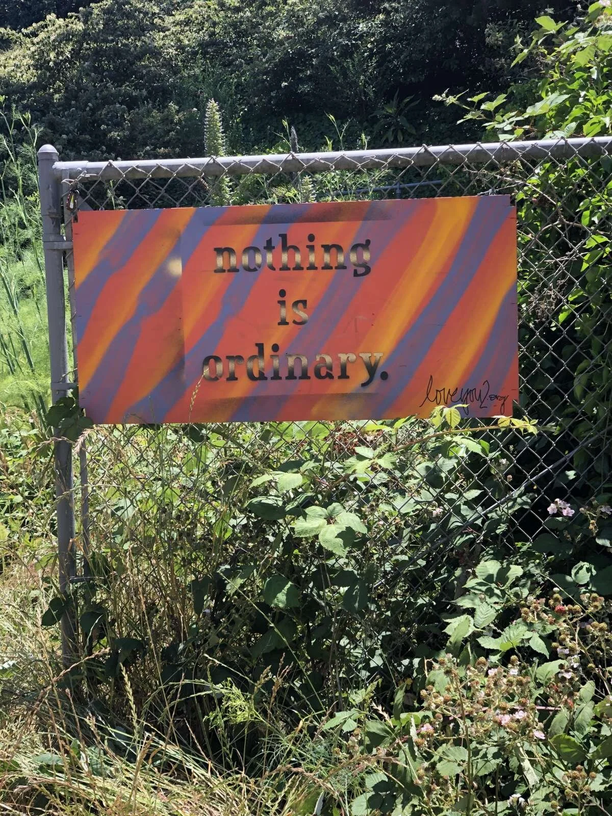 Nothing is ordinary.