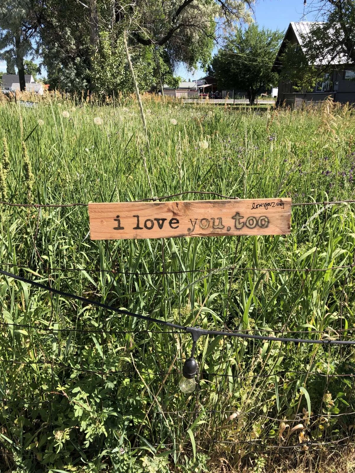 What is permeable. What is steady. {Bear Lake, UT}