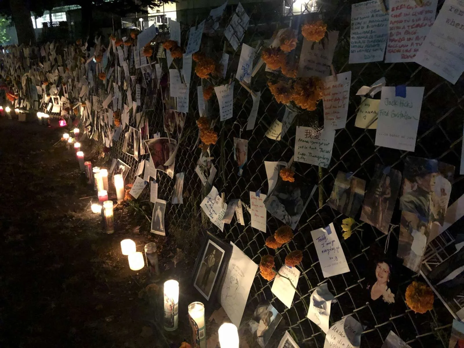 Dia de los Muertos 2019 {video}