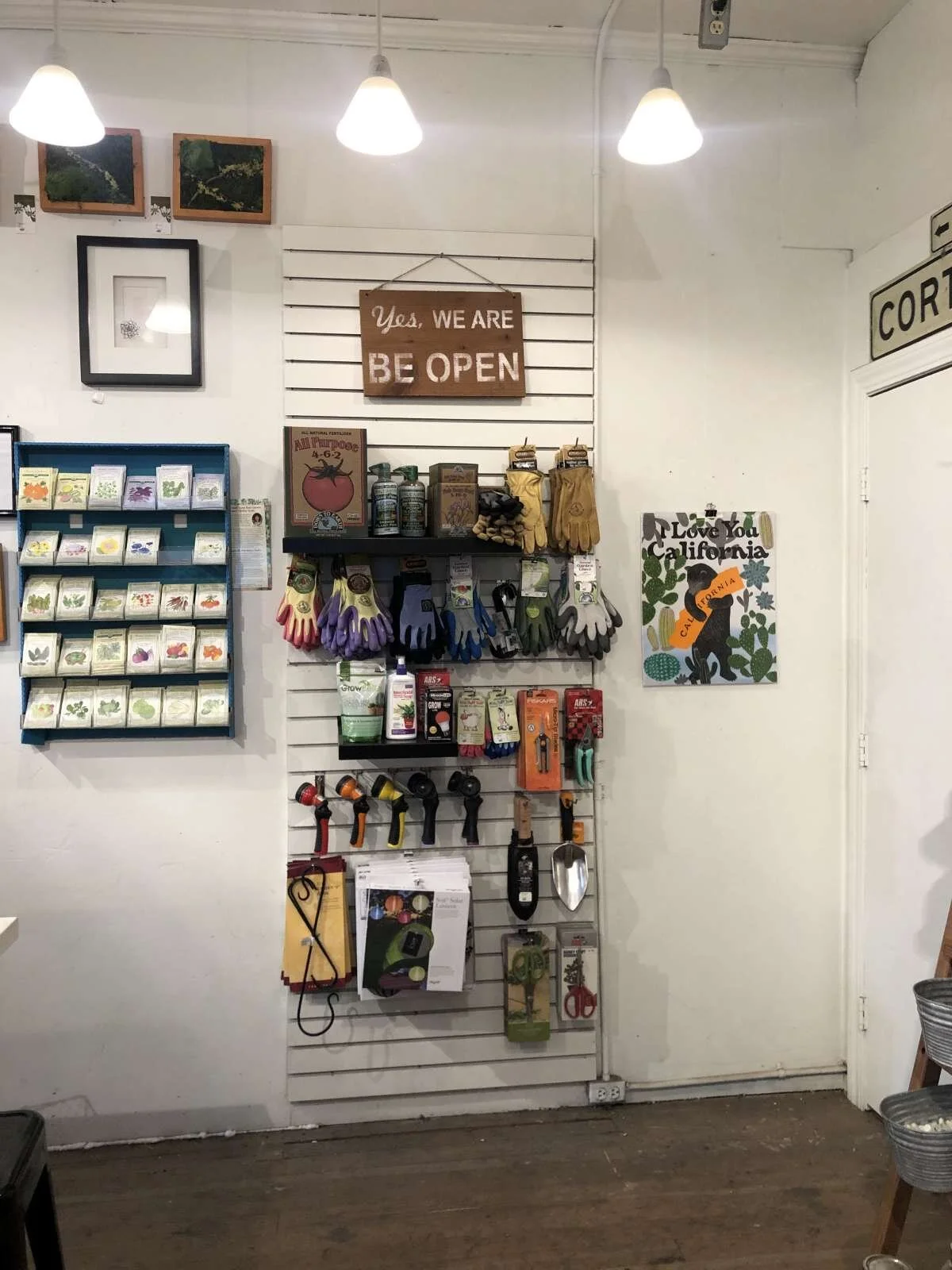 yes, we are. Be open. (Succulence)