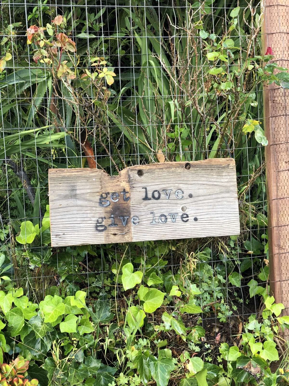 Some moments feel brand new, like a beginning.