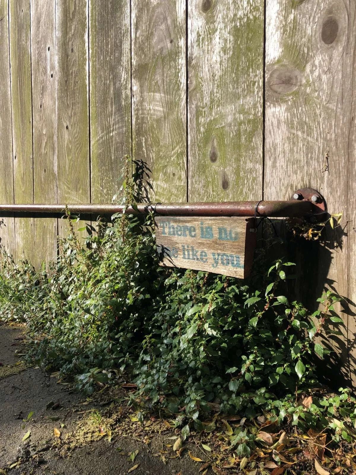 Falling apart as a rebirth.