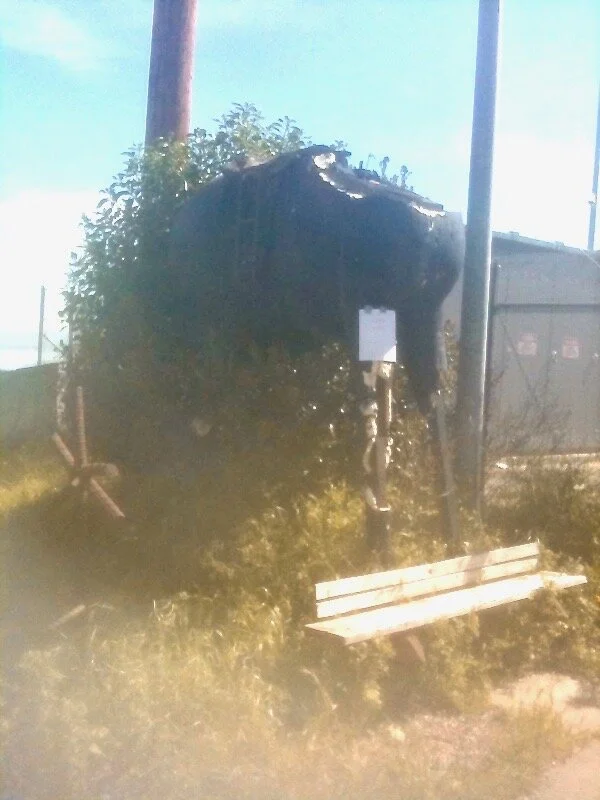 Sometimes when you are in love....