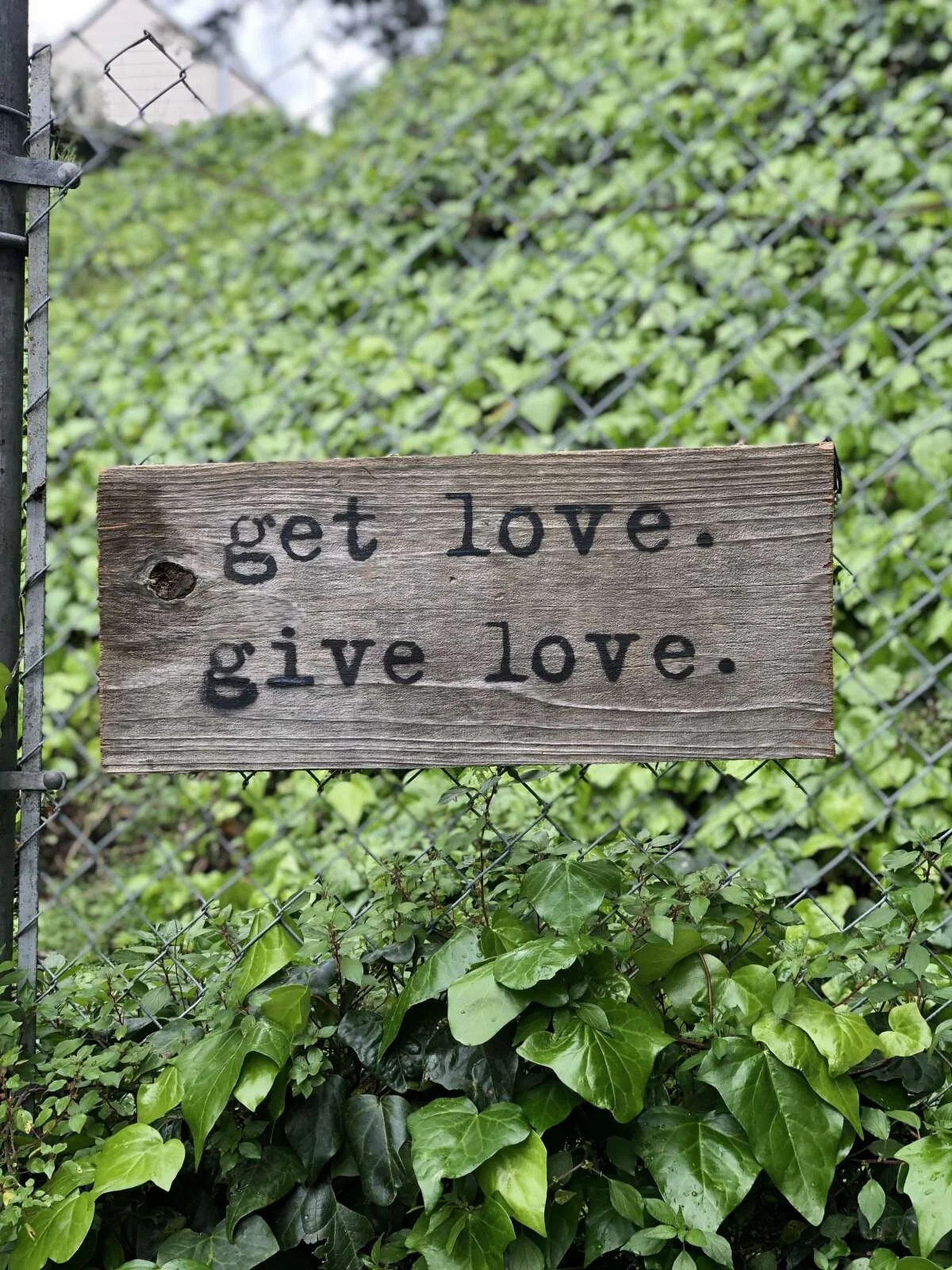 An incomplete list of things I am grateful for.