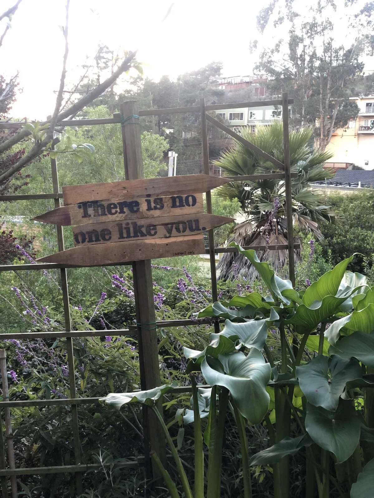 Some things you will never see the same again.