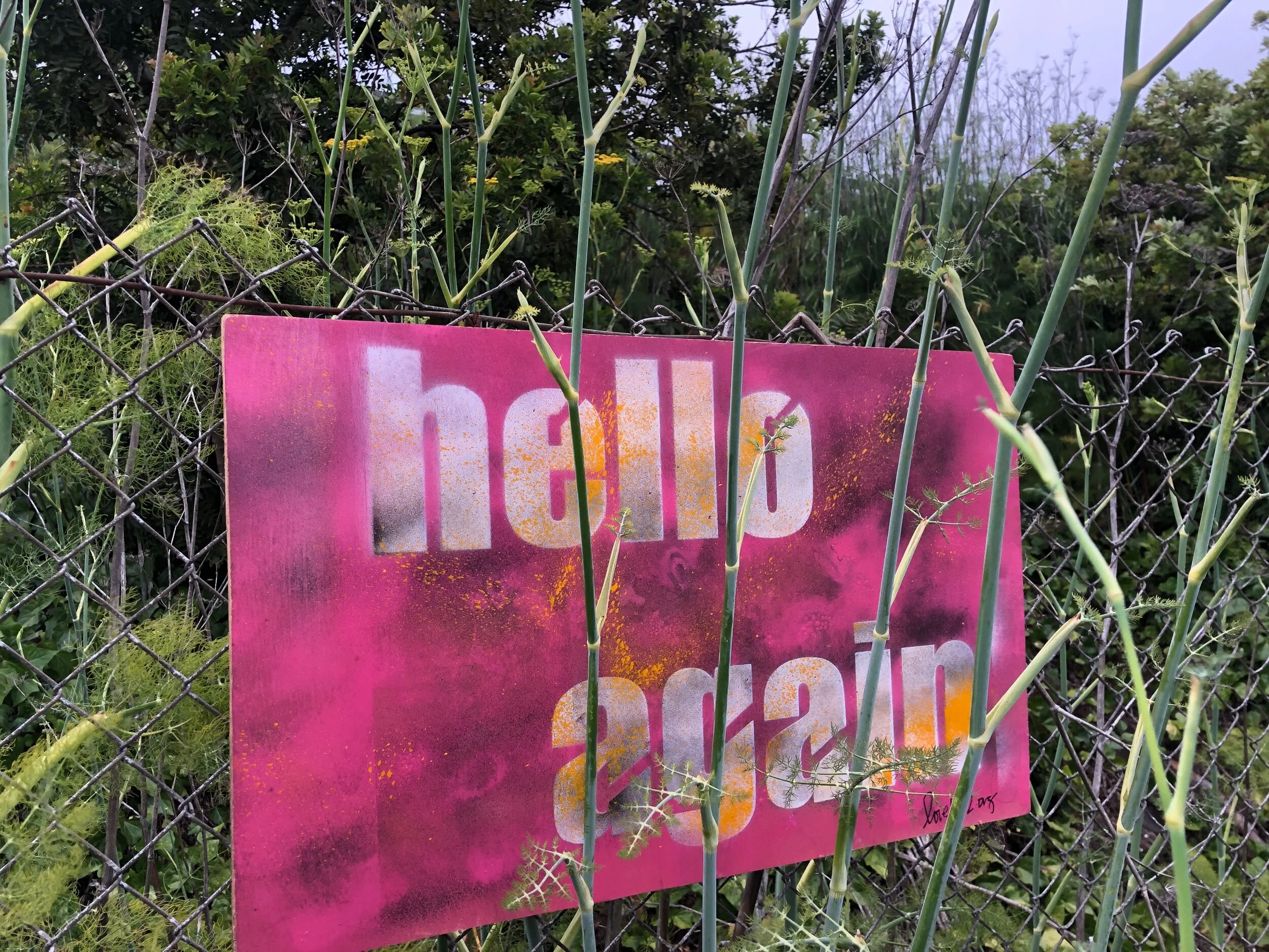 Unfiltered glory of a LoveYou2 stencil sign “hello again” on Baden Street surrounded by wild fennel.