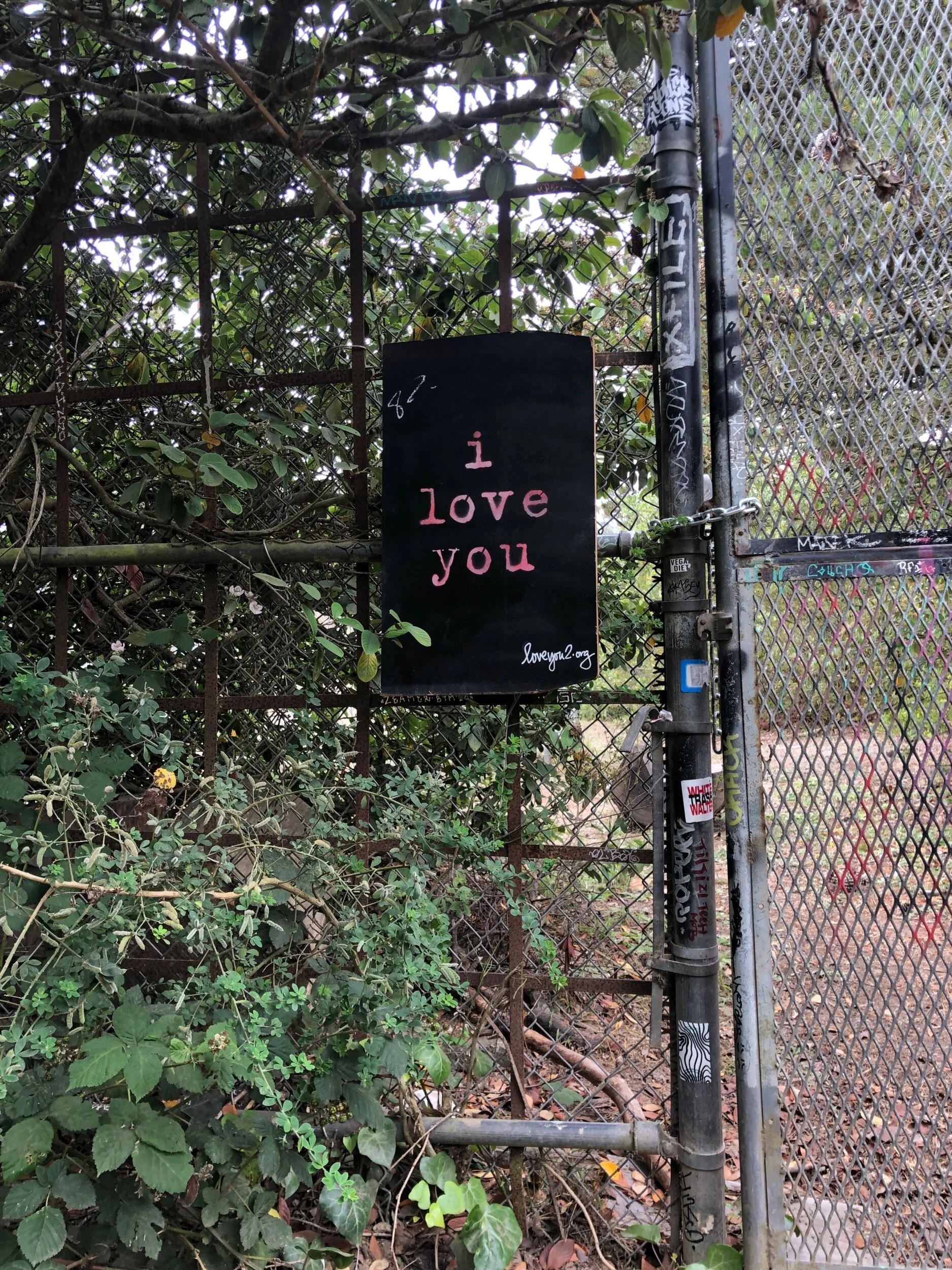 The way things change