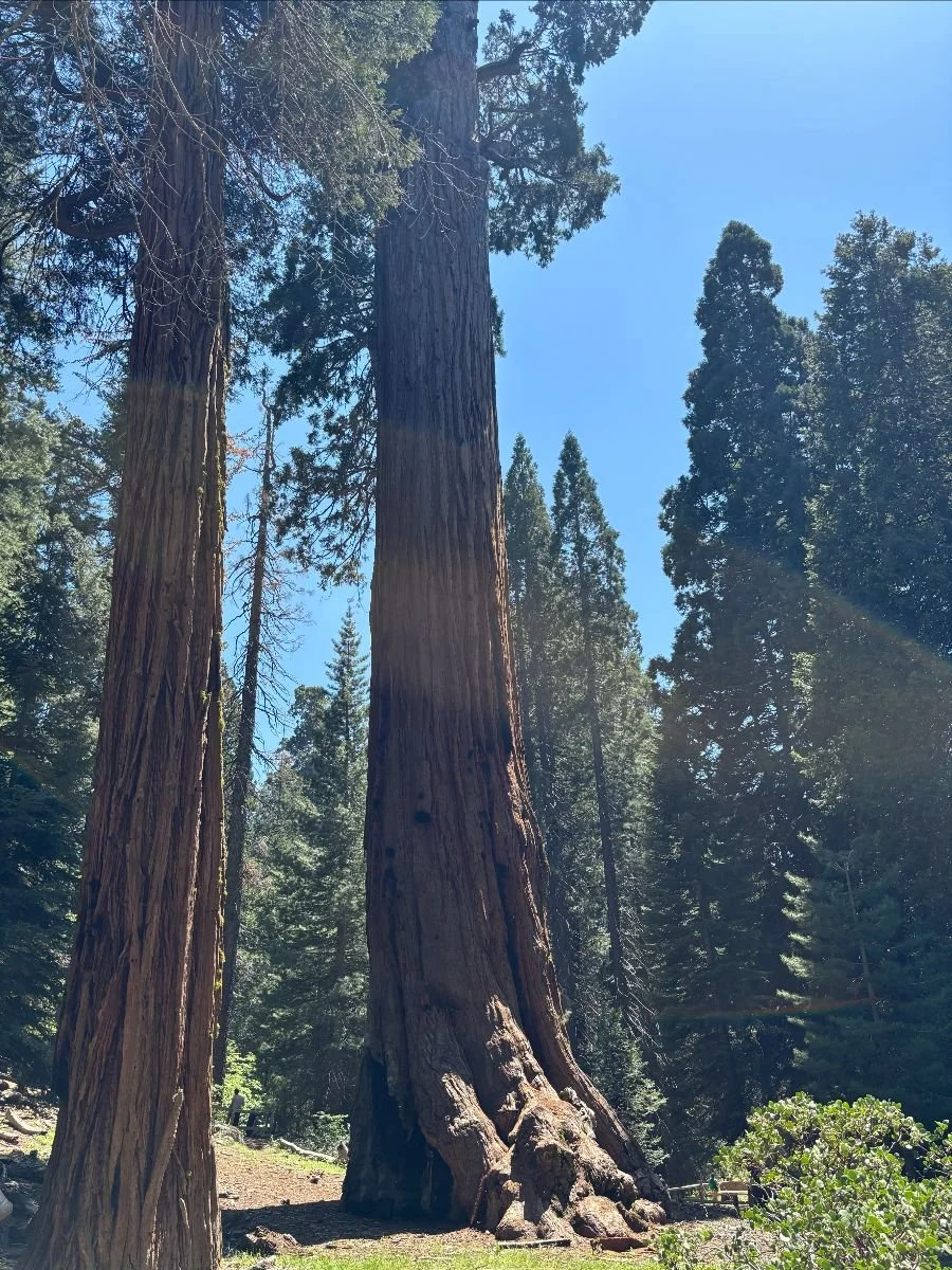 Remembering that grief is part of love.