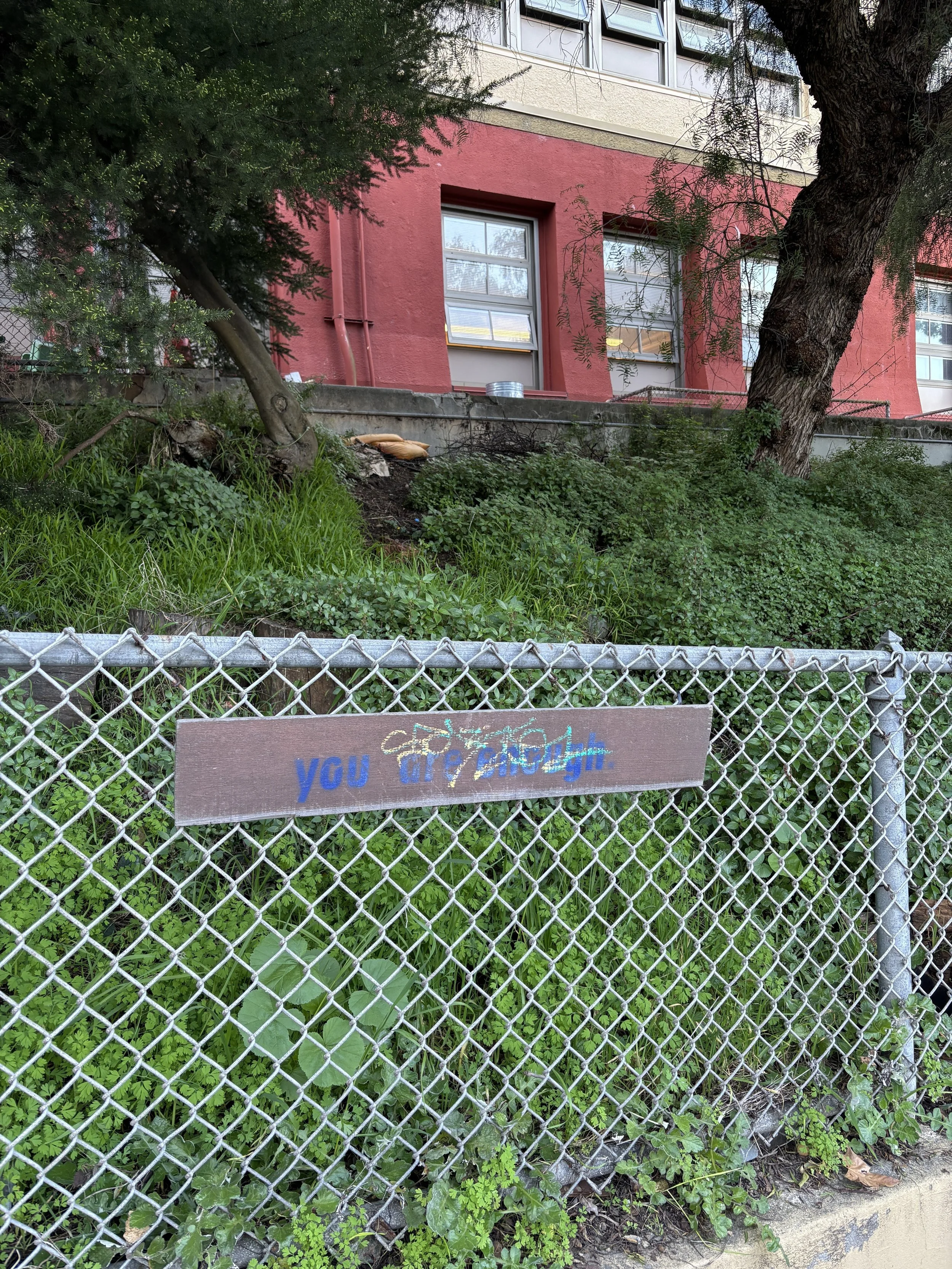 A web of connection: Lessons from the street