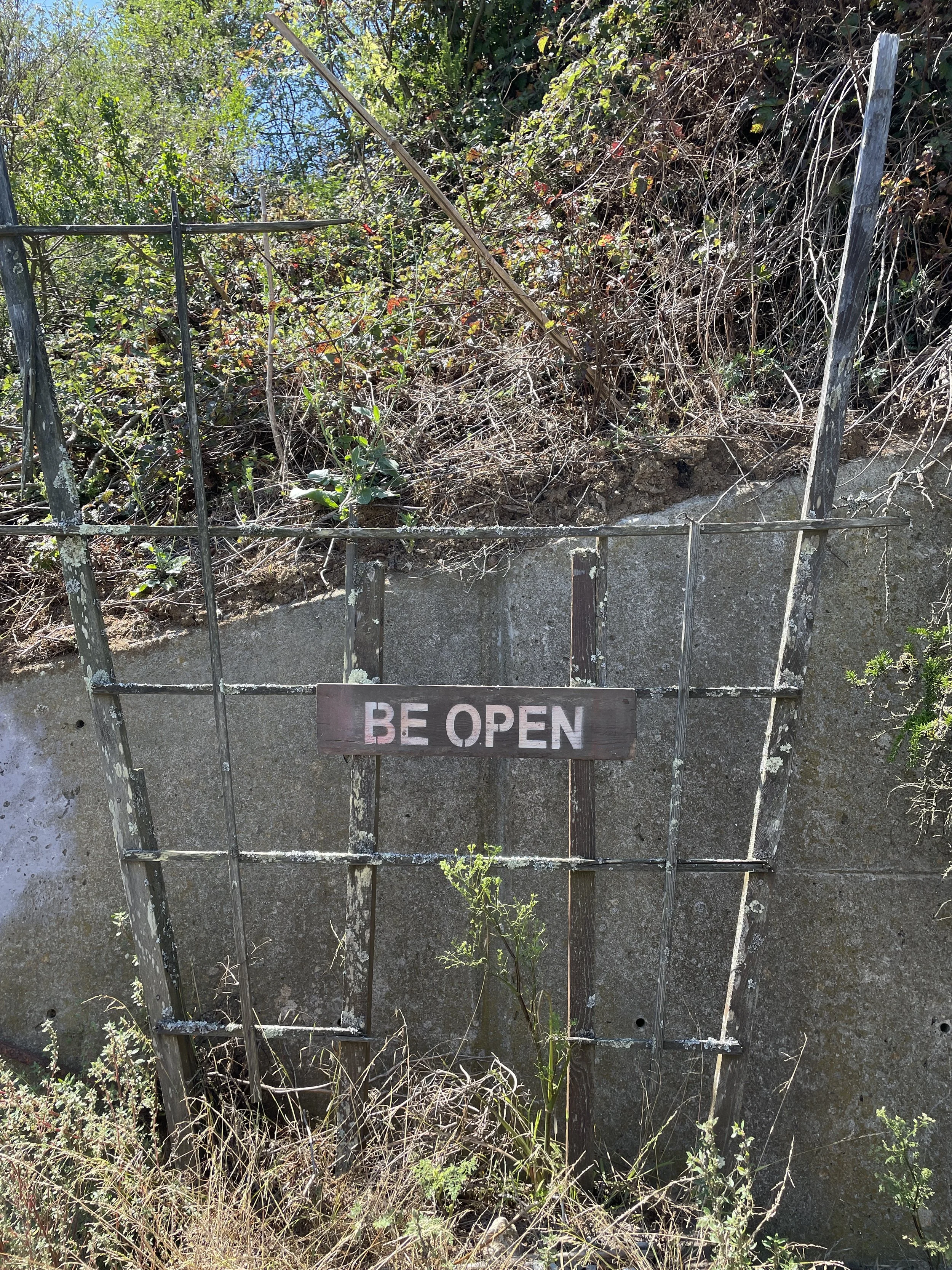 BE OPEN: Twin peaks