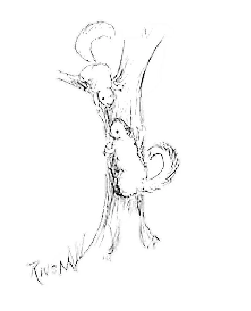Squirrly.jpg