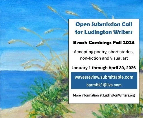 Open Submissions: Beach Combings