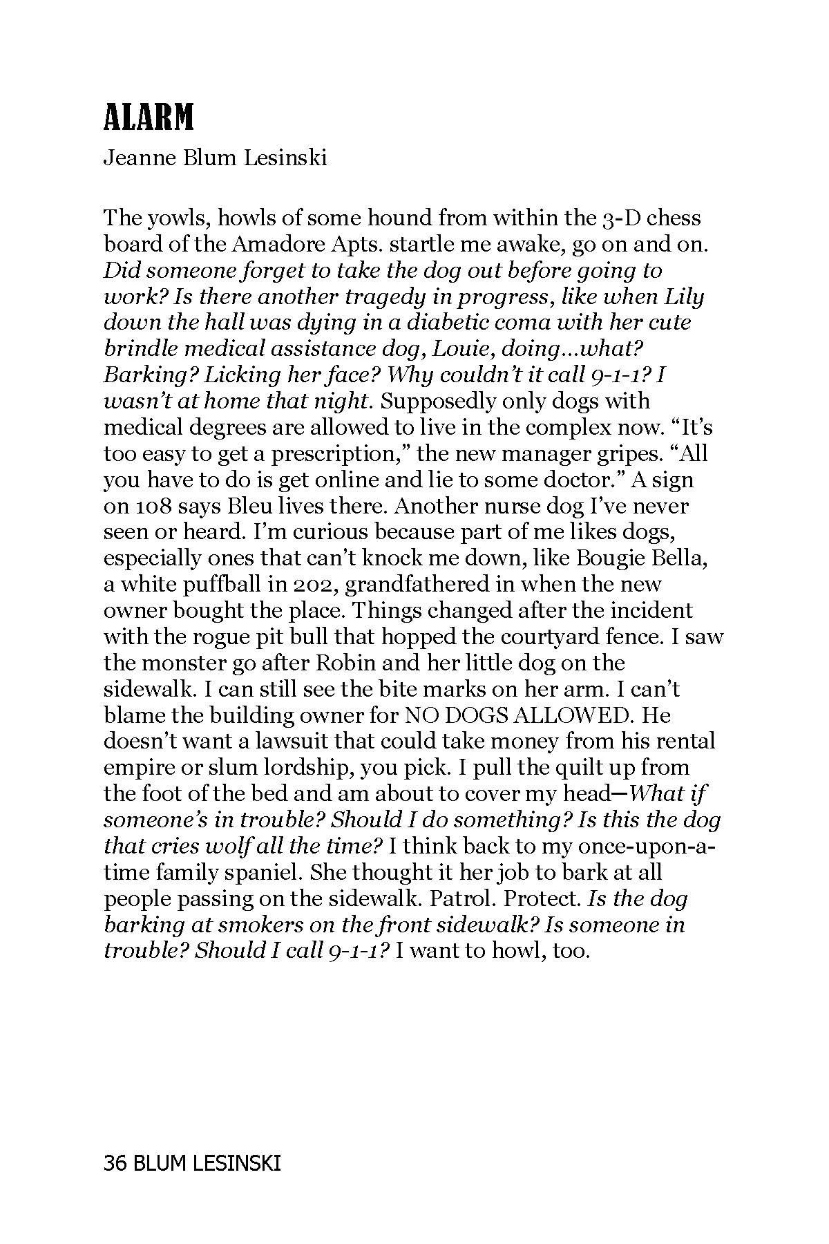 MakingWaves Fall 2026_draft_Reduced_Page_49.jpg
