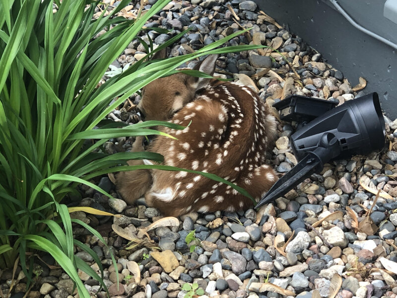 Welcome to Your New Normal, World