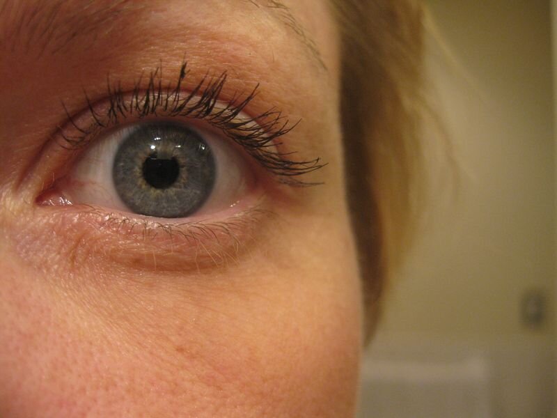 Apples, Pumpkins, & Corn