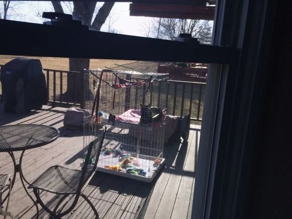 What We Share Online