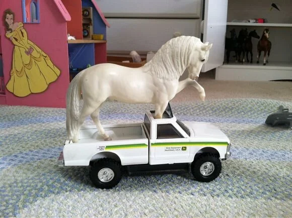 The World's First Breyer Horse Wheelchair