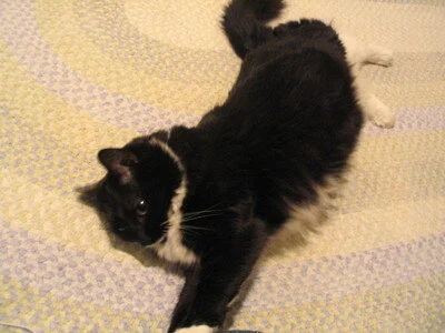 Do These Jeans Make My Butt Look Fat?