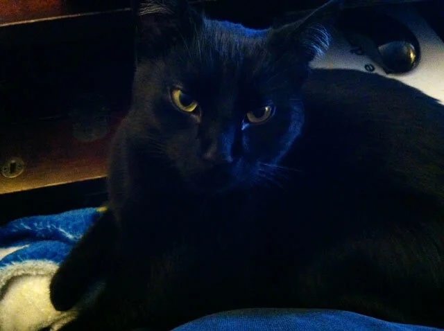 Some Days You're the Windshield. Some Days You're the Bug