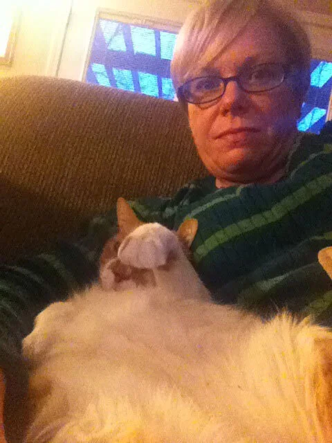 More News From the Island of Misfit Cats