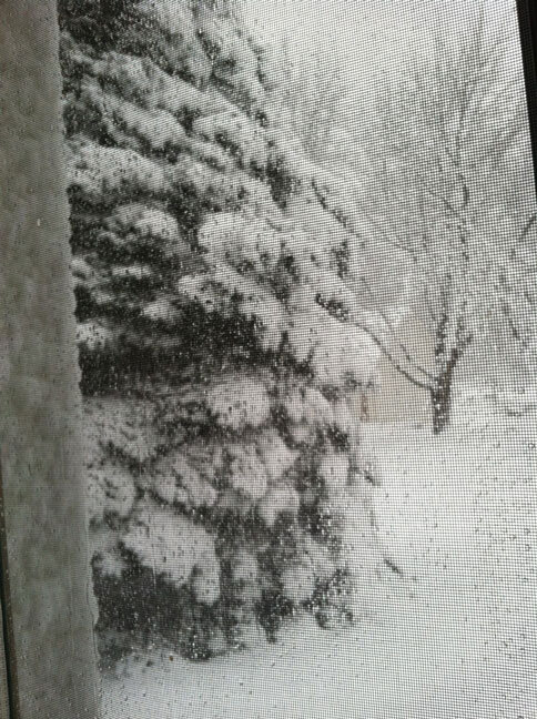 That Time in Childhood I Forgot About