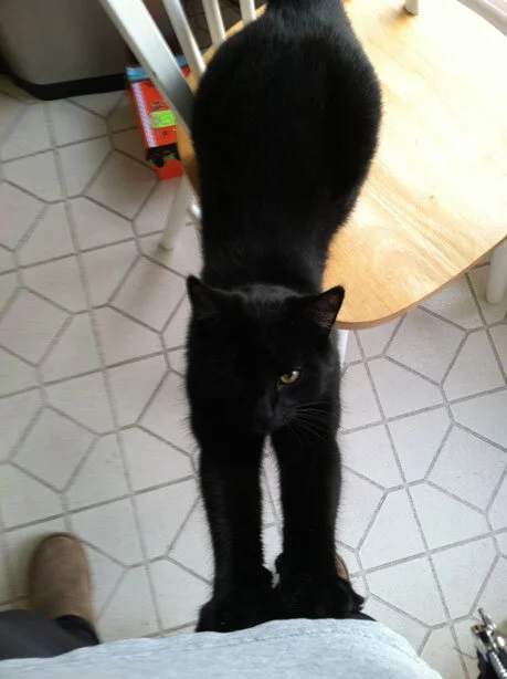 A Random Warm January Day