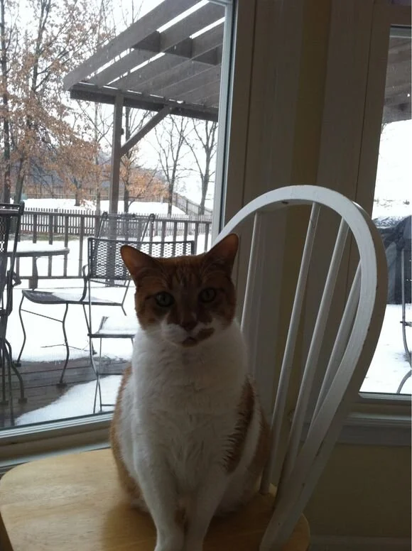 Sir Charles Buttonsworth Comes to Dine