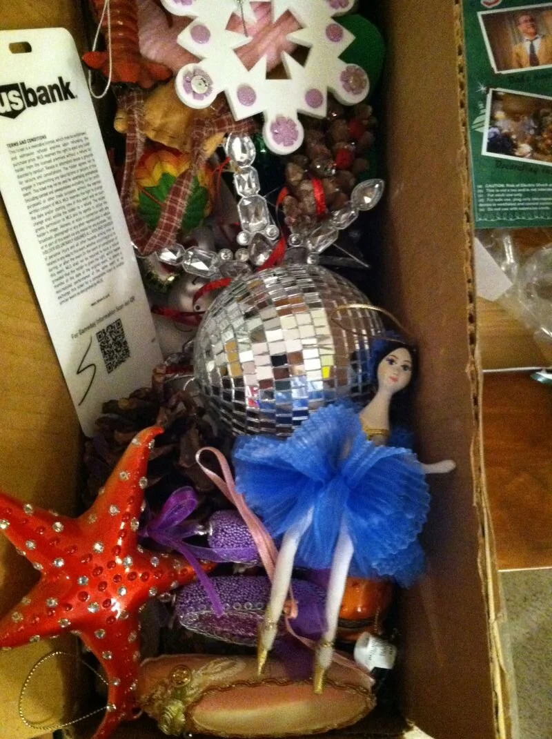 The Christmas Tree I Thought I'd Want