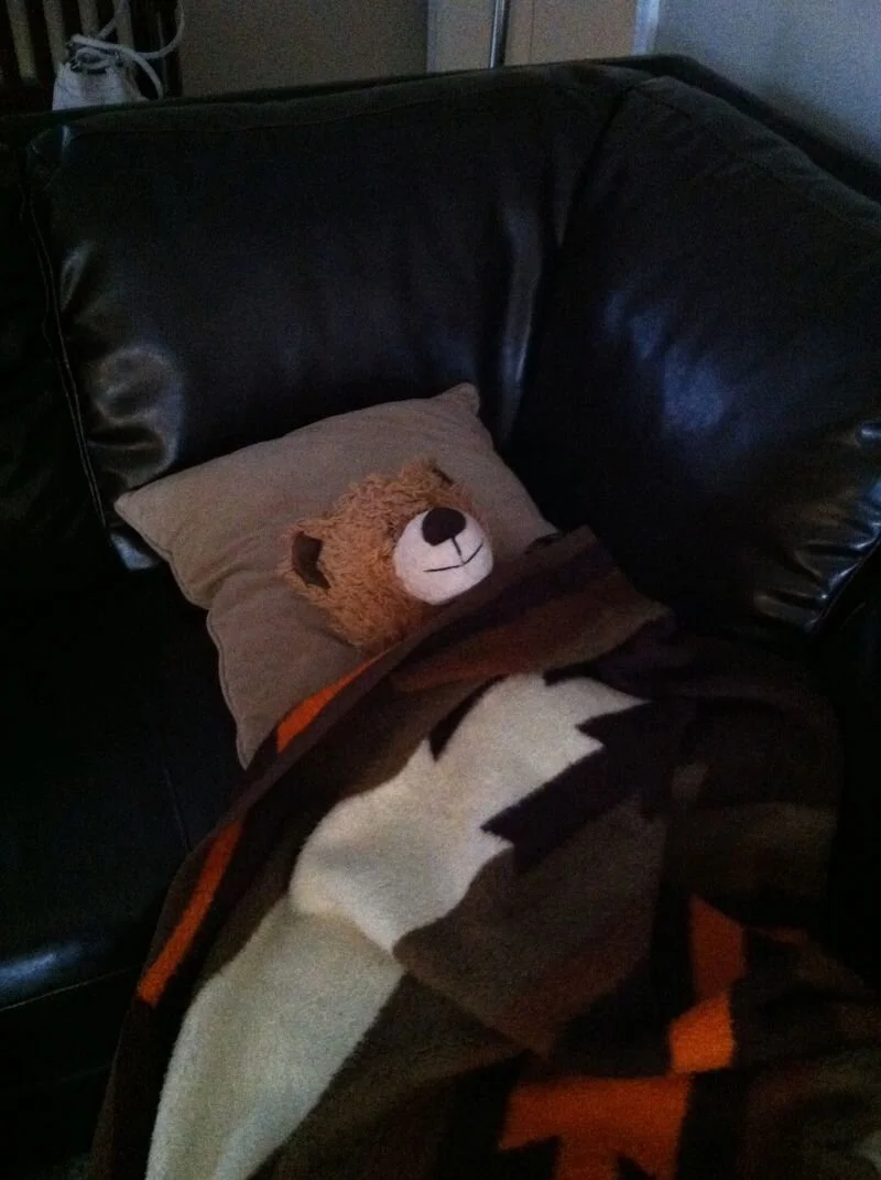 Breakfast Is the Most Important Meal of the Day