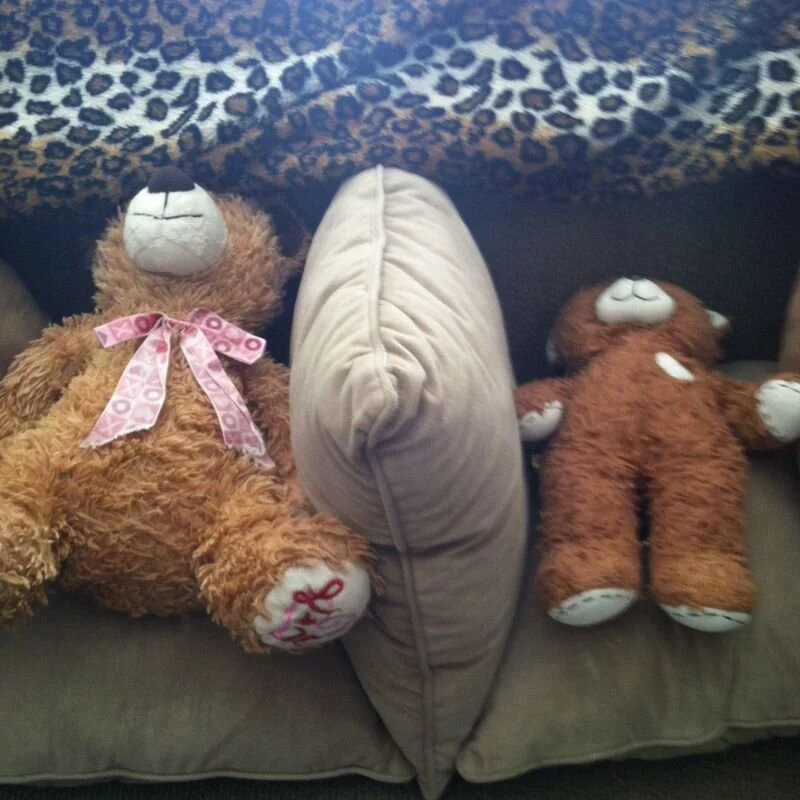 Sarcophagus for Bears