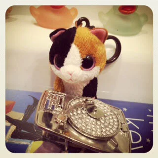 The Disarming Adventures of Vicki