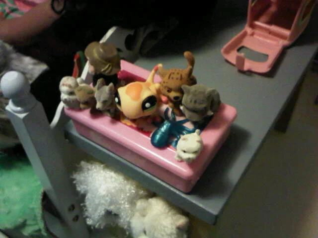 Back to the Scene of the Crime