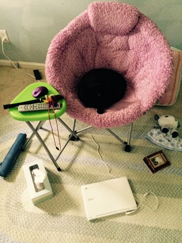 He Was Seriously Watching TV