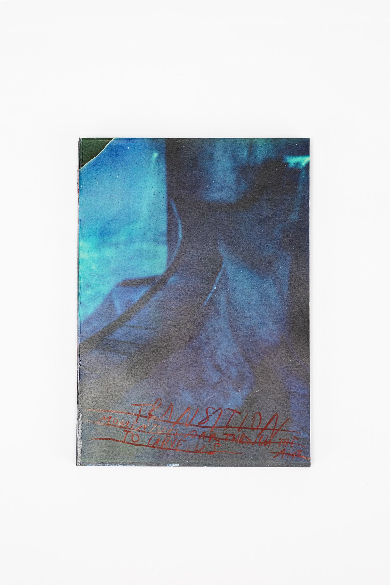 Sergej Vutuc - Image of TRANSITION, momentum soar through the air to carve, us