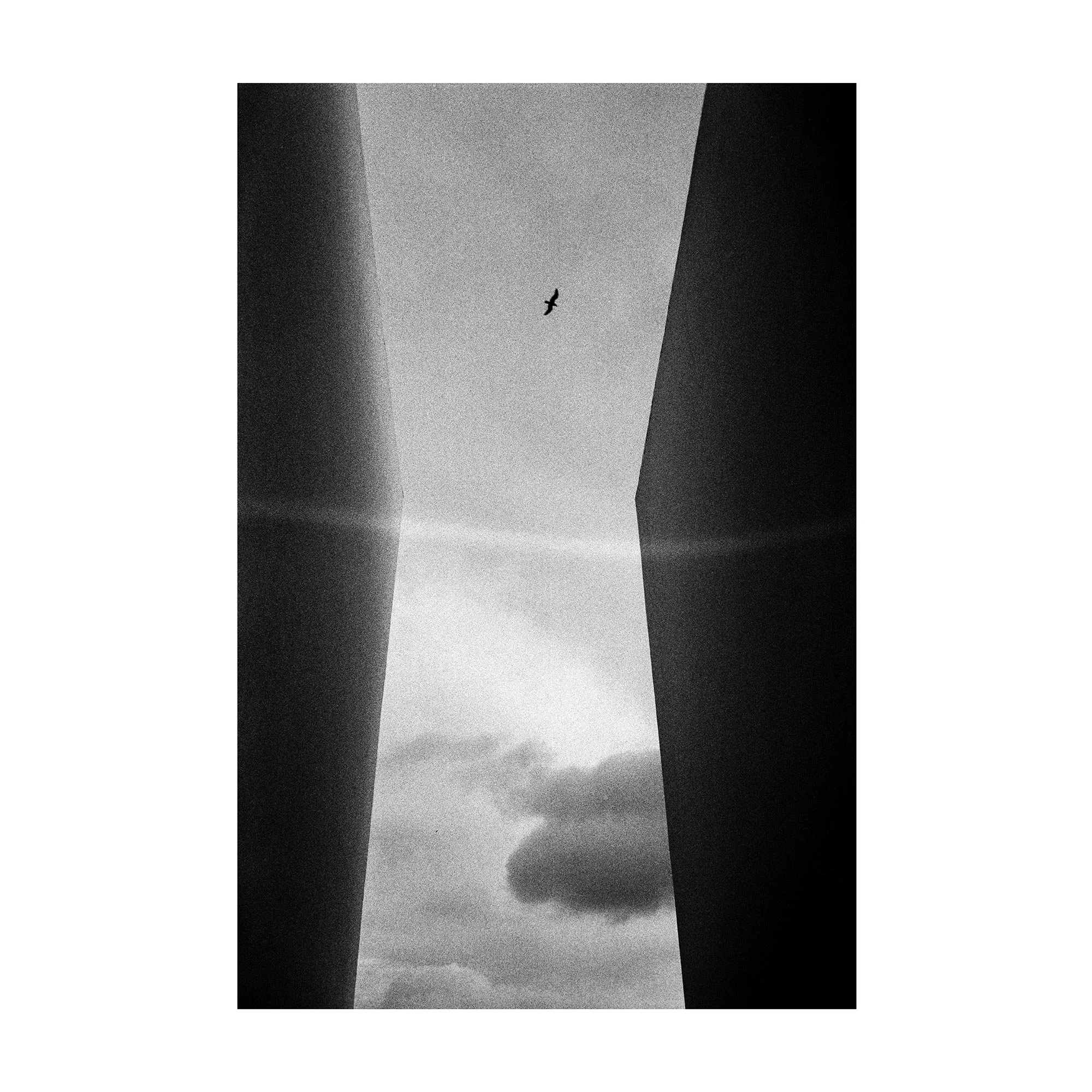 Freedom - 'Street Vogue' Series- Fine Art Print by Alberto Scattolin