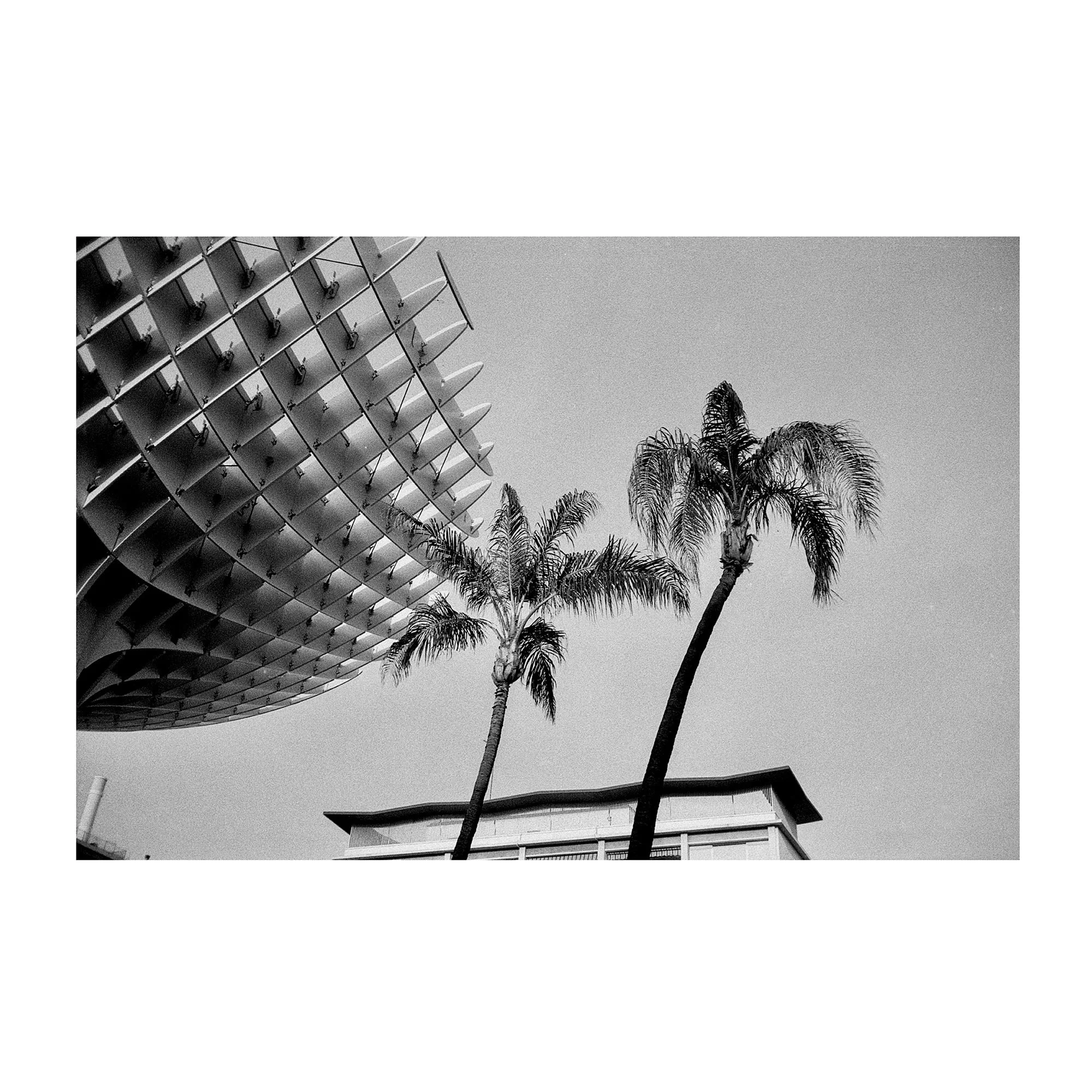 Seveilla_Street_Vogue_Photography_Alberto_Scattolin.jpg