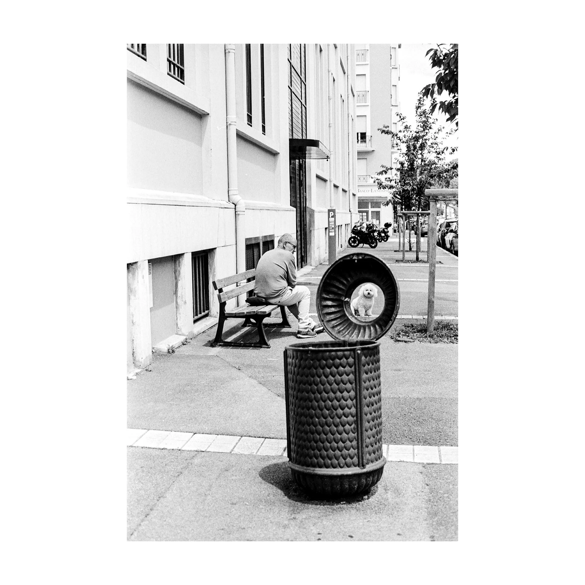 Trash Dog - 'Street Vogue' Series- Fine Art Print by Alberto Scattolin