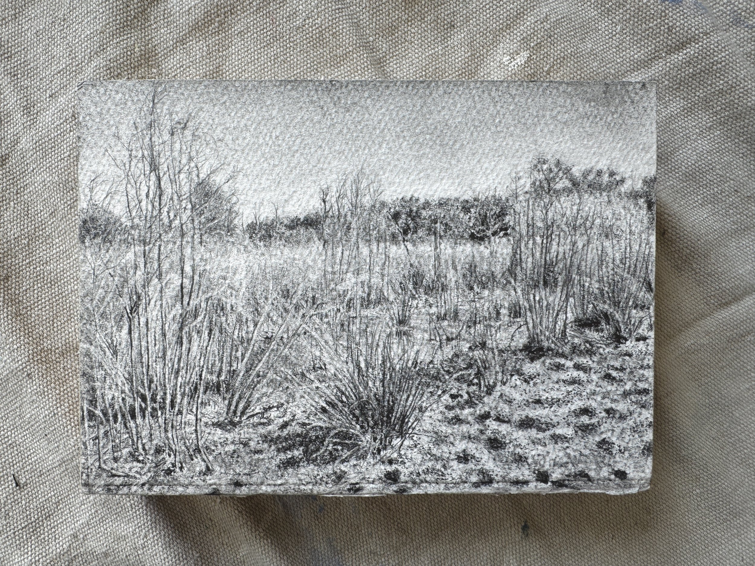 “Plummet”, 5in x 7in, Graphite on paper mounted to panel, 2022, $195