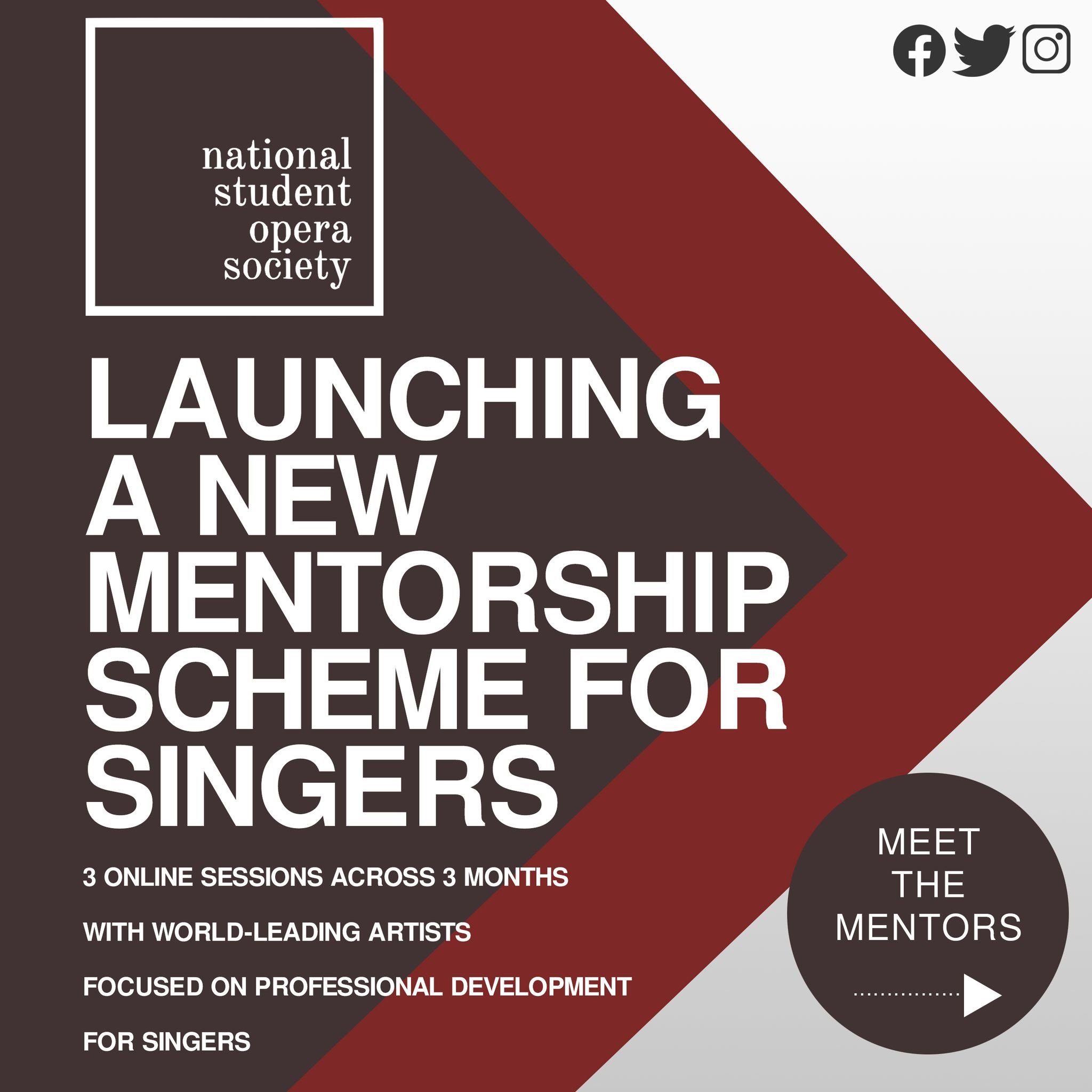 NSOS Mentrship scheme 1.jpg