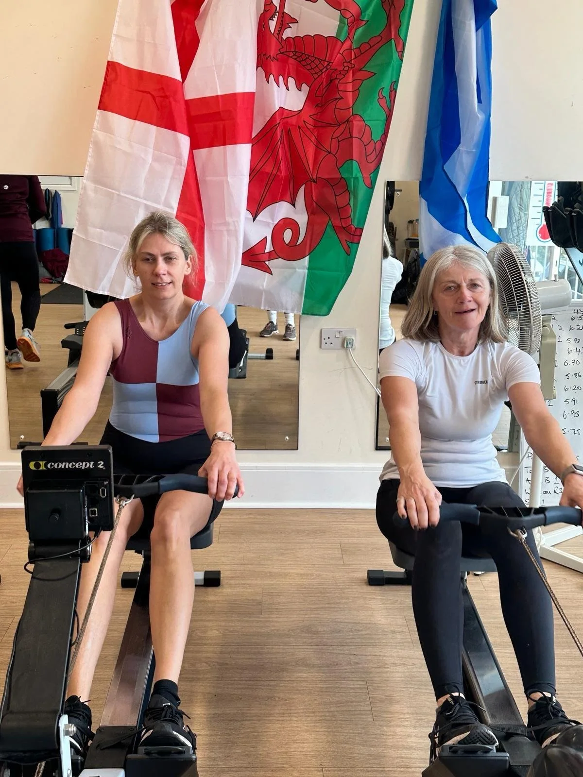 6e366616-0662-408a-b160-c78d5dec5594.jfif