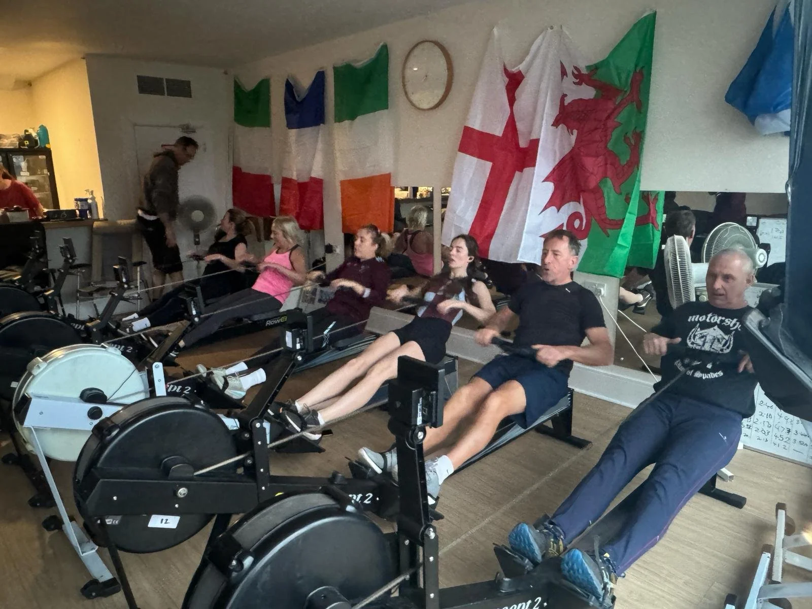 6a2d87b9-9c28-4dbc-b3d6-5e493a23fffa.jfif