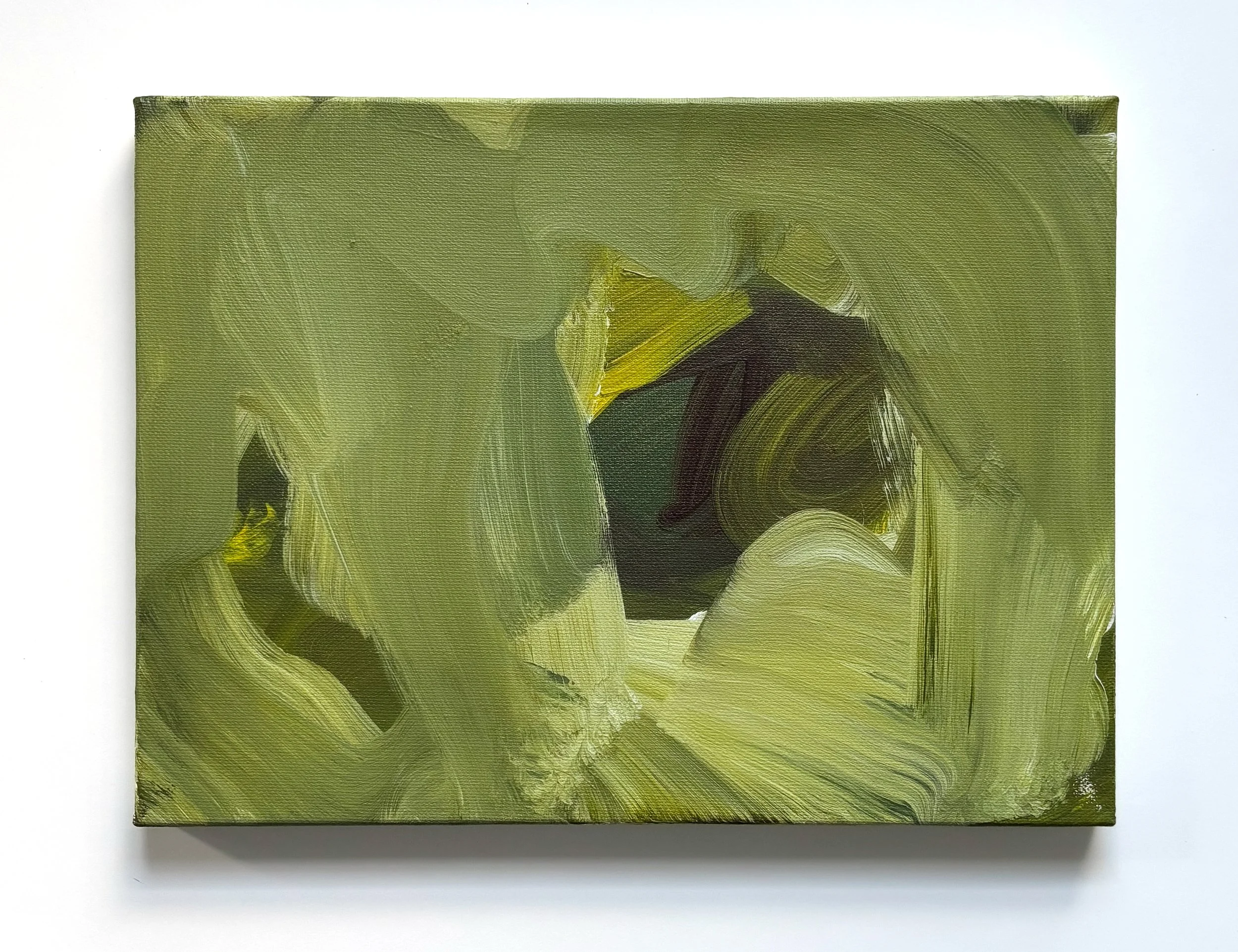 Best Kept Secret/acrylic on canvas/9x12 in./2026