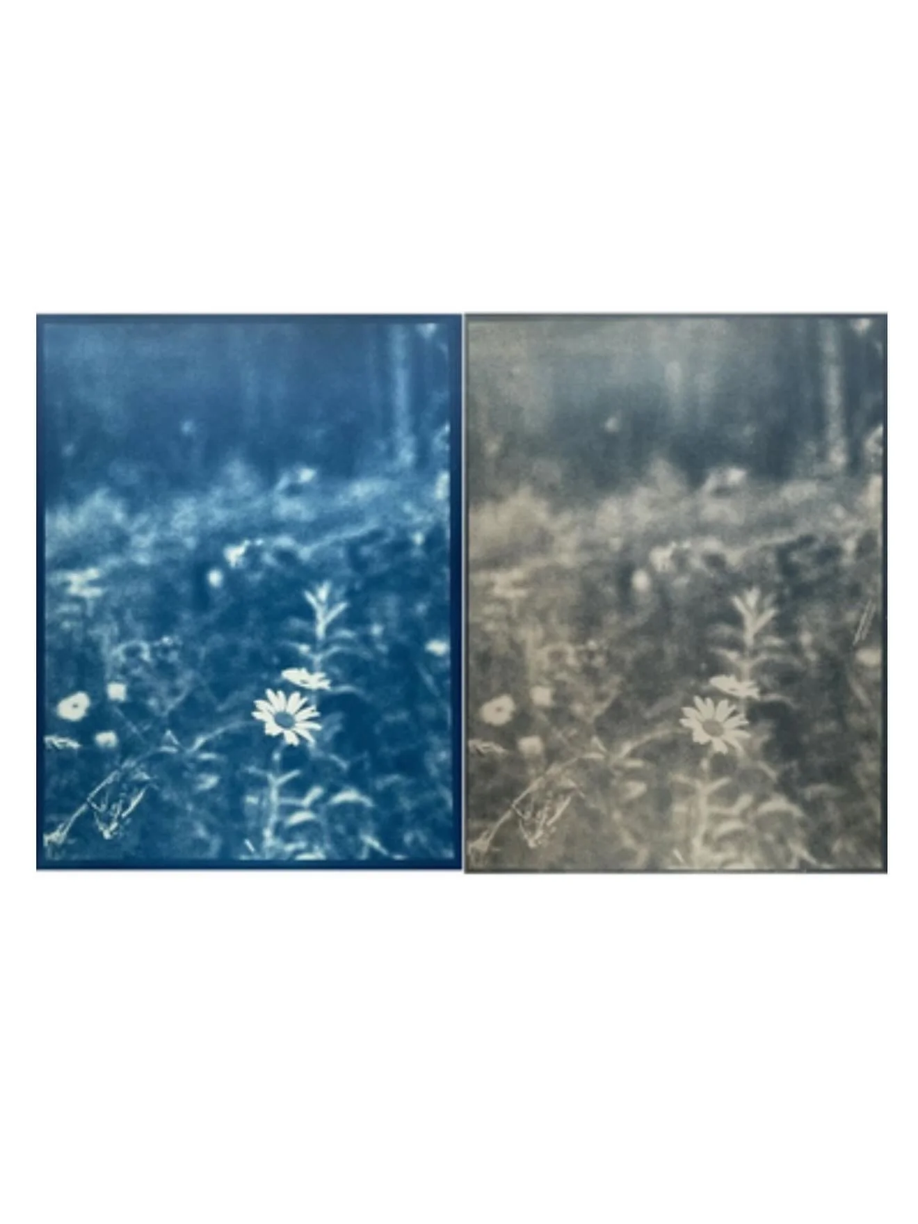 Excited to host the works of such talented artists and photographers at our upcoming market on Sunday! Come pick up some beautiful prints, cards and other works at our Gifting Market with @waterworksto Sunday, December 7th ! Last pop-up of the year! 