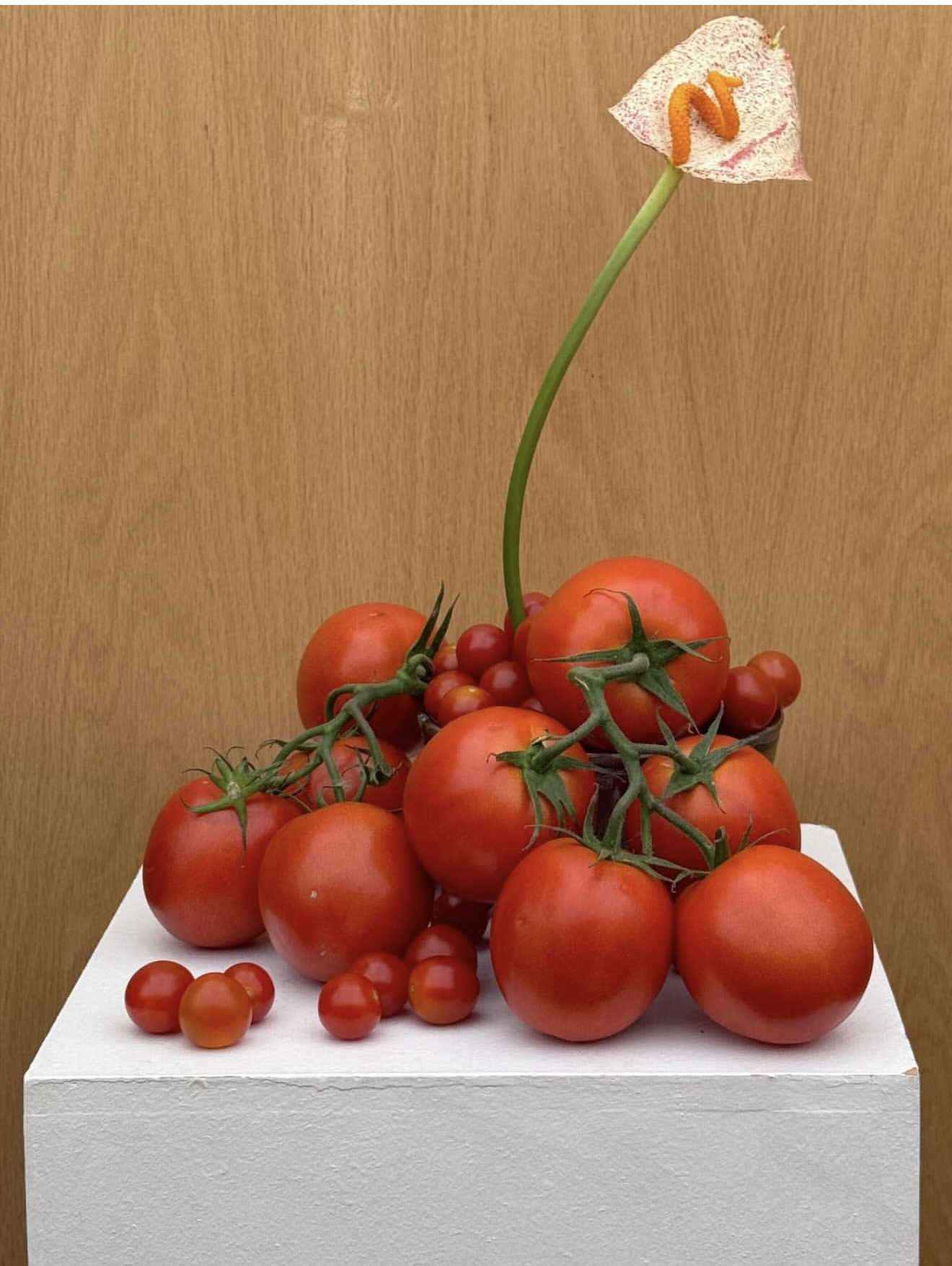 Screenshot 2026-03-30 at 10.40.32 AM.png