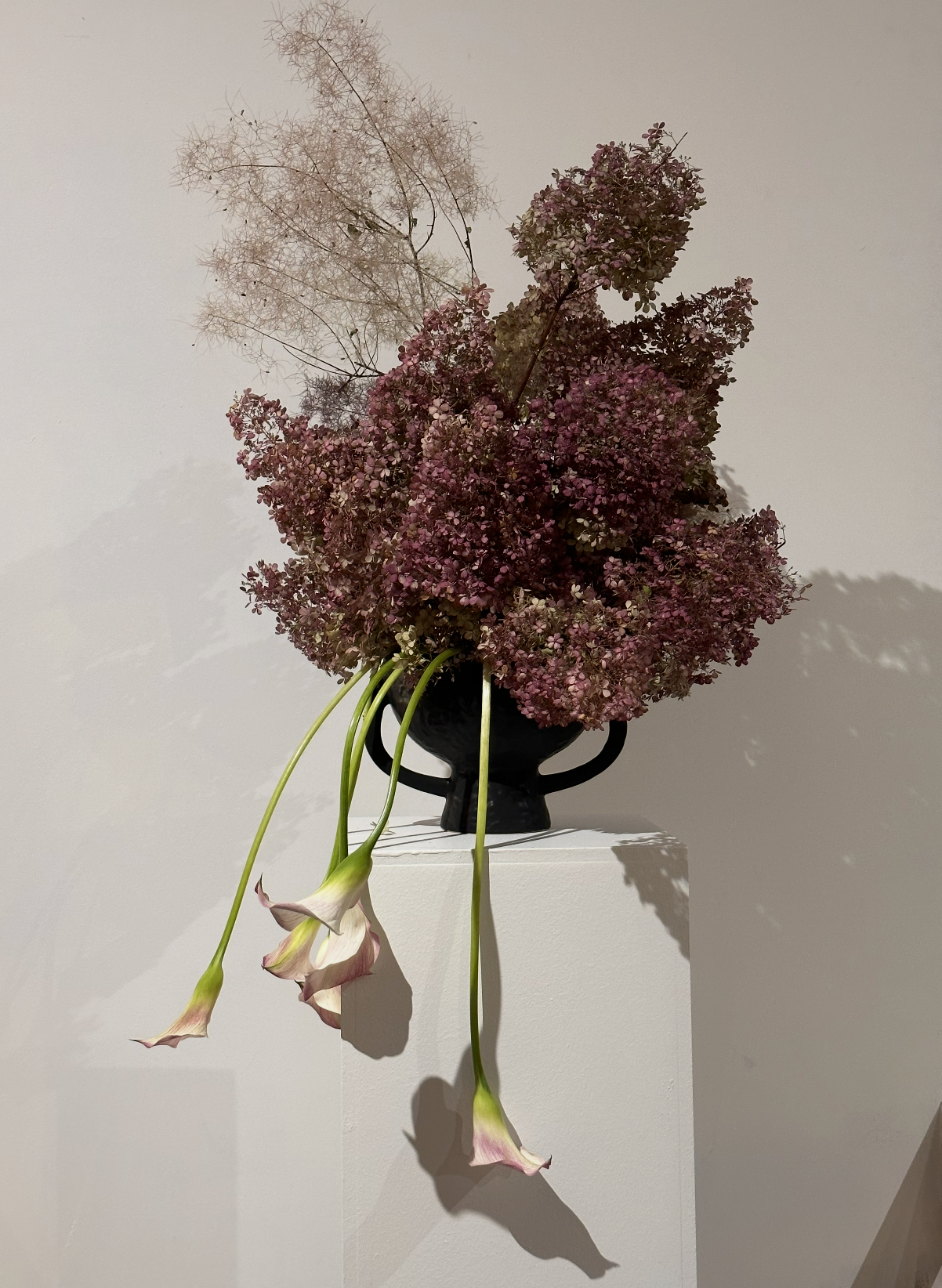 Screenshot 2026-03-30 at 10.46.53 AM.png