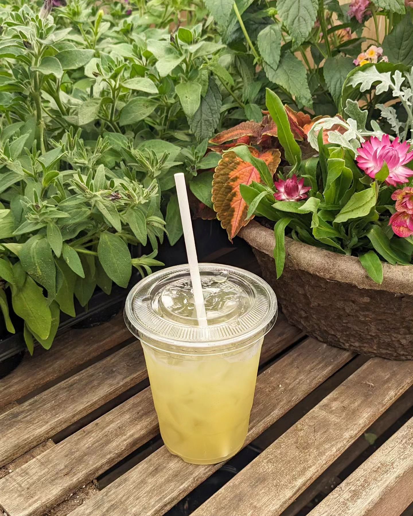 🚨🚨New Summer Drinks added to our event menu🚨🚨

🍍🍍Pineapple Sugarcane
🥥🥥 Coconut Sugarcane

They are available at Shipyard Night Market tomorrow. Come see us and grab your favorite Banh Mi and drink from 3-10pm 💃💃

#catering #foodtruckcateri
