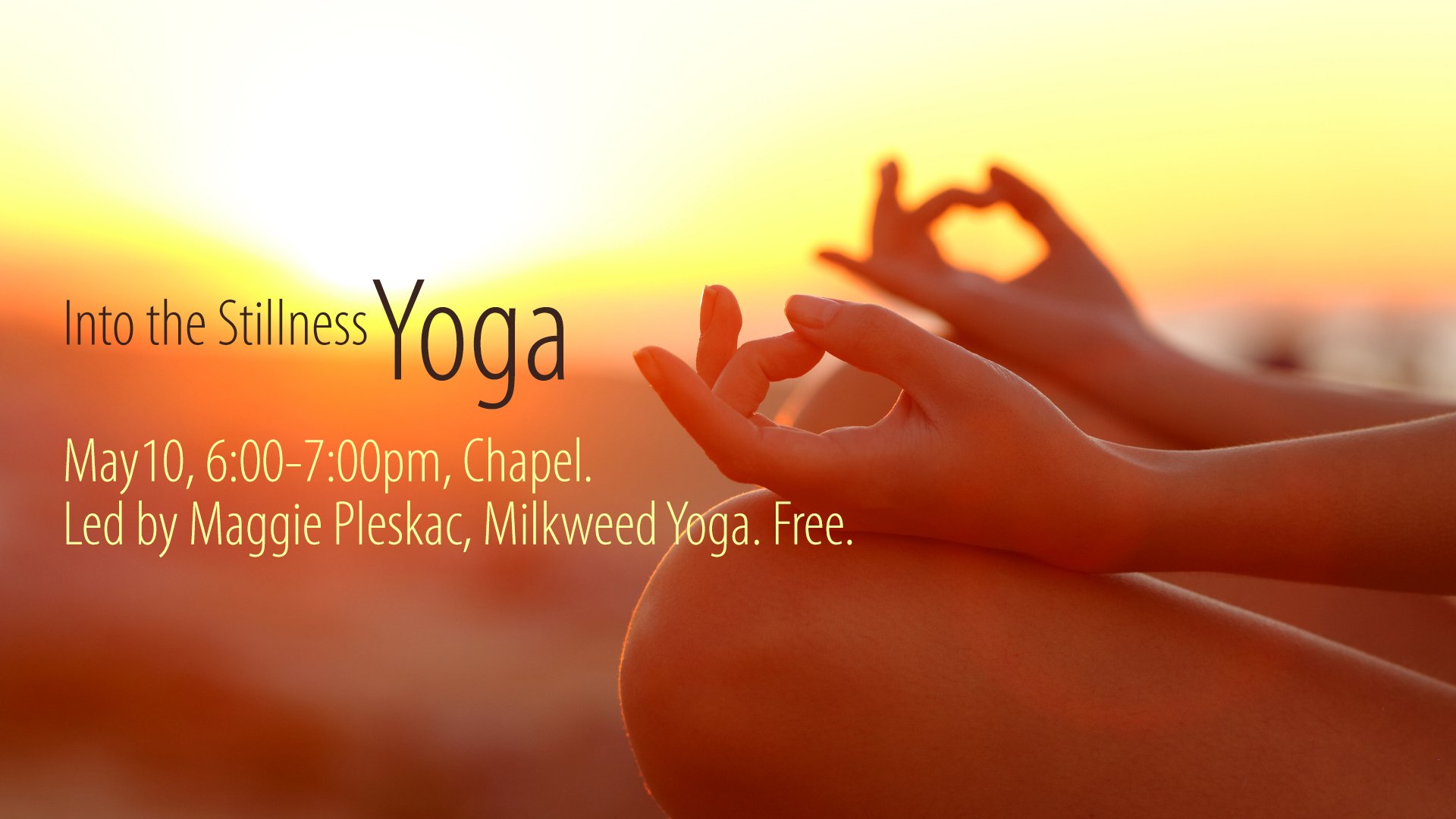 Intothestillness copy.jpg