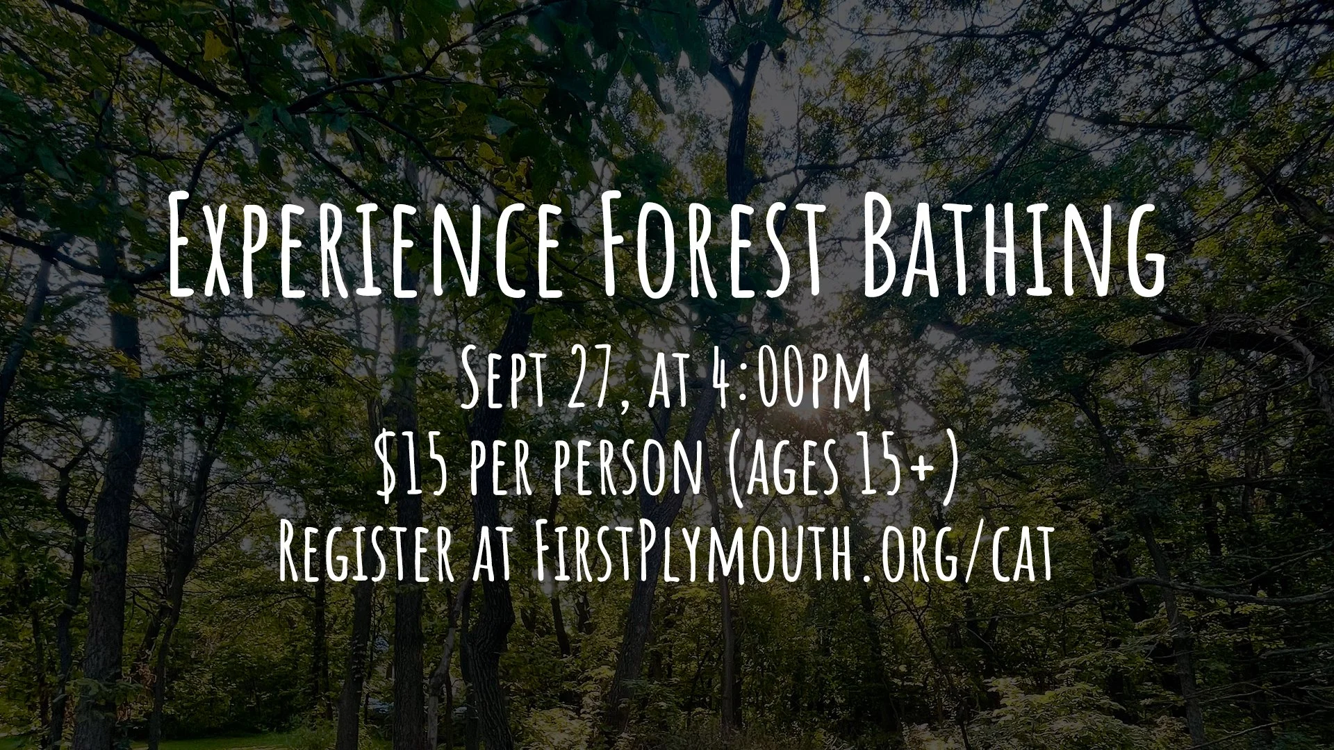 ForestBathing copy.jpg