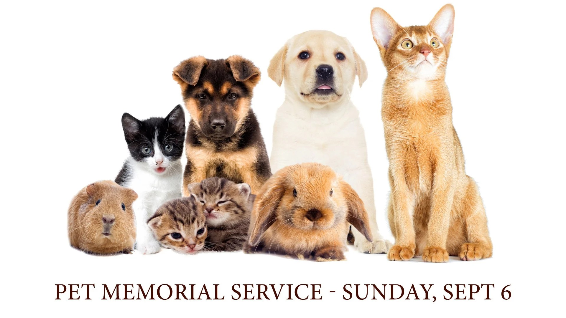 pet memorial copy.jpg